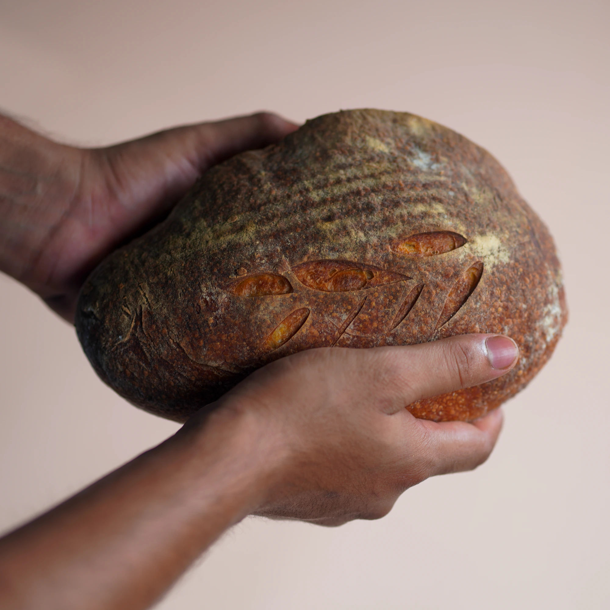Signature bake